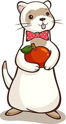 EPS 동물 척추동물 캐릭터 육지동물 동물캐릭터 일러스트 홍보캐릭터 포유류 애니멀프린트 사람없음 족제비 일러캐릭터 파일형식 벡터