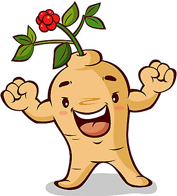 EPS 클립아트 캐릭터 음식 일러스트 홍보캐릭터 의인화 사람없음 약 한의학 한약재 산삼 인삼 한약 특산물 음식캐릭터 특산물캐릭터 보약 일러캐릭터 의학 약재 삼 파일형식 벡터