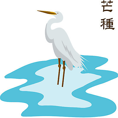 EPS 클립아트 동물 척추동물 한마리 계절 일러스트 조류 사람없음 물가 절기 망종 국내일러스트 1 풍경 파일형식 벡터