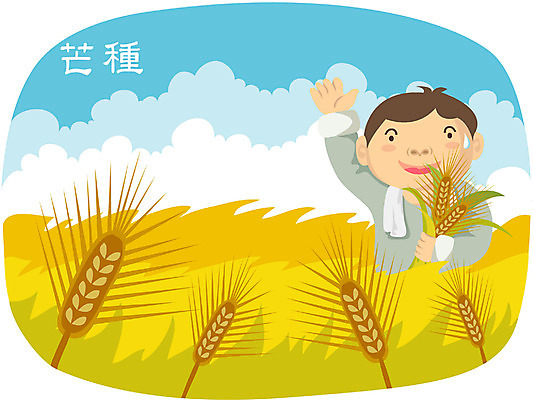 EPS 주간 클립아트 직업 계절 남자 농업 일러스트 곡류 논 한명 사람 풍경 야외 농촌 시골 농부 절기 보리 농어촌캐릭터 망종 남자만 남자한명만 국내일러스트 자연요소 1 산업 산업캐릭터 파일형식 벡터