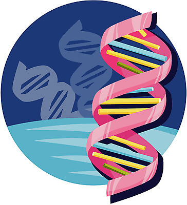 EPS 클립아트 산업 과학 일러스트 첨단산업 사람없음 DNA 생물학 염색체 생체공학 국내일러스트 교육 생명공학 공학 파일형식 벡터