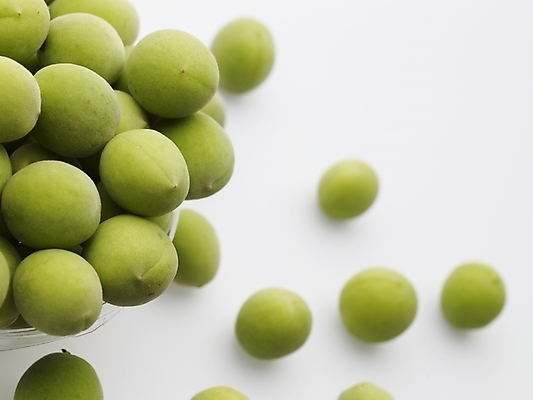 포토 JPG 열매 음식 컬러 과일 실내 근접촬영 사람없음 가로 초록색 농작물 하이앵글 여러개 매실 국내포토 식물 뷰포인트 다수 농업 내부 파일형식