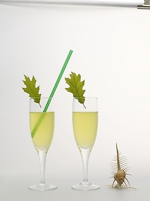 포토 JPG 스튜디오촬영 음료 잎 어패류 나뭇잎 잔 주류 실내 빨대 누끼 사람없음 장식 세로 초록색 노란색 껍질 샴페인 샴페인잔 탄산음료 고둥 탄산 국내포토 식물 동물 식기 컬러 술잔 내부 파일형식