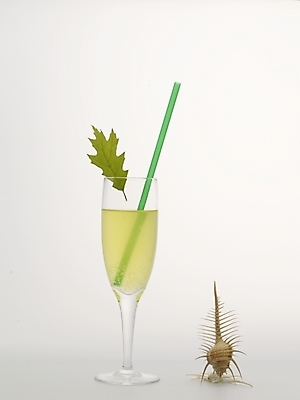 포토 JPG 스튜디오촬영 음료 잎 어패류 나뭇잎 잔 주류 실내 빨대 누끼 사람없음 장식 세로 초록색 노란색 껍질 샴페인 샴페인잔 탄산음료 고둥 탄산 국내포토 식물 동물 식기 컬러 술잔 내부 파일형식