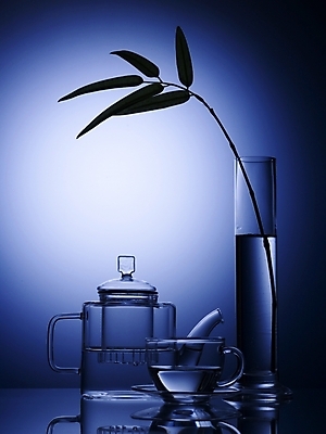 포토 JPG 스튜디오촬영 식기 음료 생활용품 잎 주방용품 나뭇잎 조명 잔 실내 사람없음 세로 초록색 빛 반사 꽃병 찻잔 찻주전자 오브젝트 유리주전자 국내포토 식물 꽃 컬러 유리 주전자 내부 파일형식