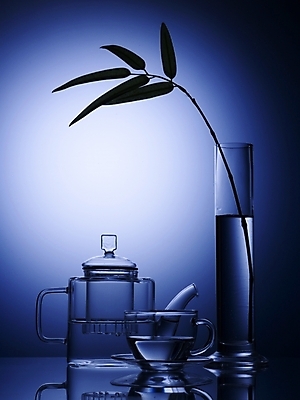 포토 JPG 스튜디오촬영 식기 음료 생활용품 잎 주방용품 나뭇잎 조명 잔 실내 사람없음 세로 초록색 빛 반사 꽃병 찻잔 찻주전자 오브젝트 유리주전자 국내포토 식물 꽃 컬러 유리 주전자 내부 파일형식