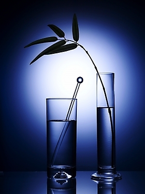 포토 JPG 스튜디오촬영 식기 음료 생활용품 잎 주방용품 나뭇잎 조명 잔 실내 사람없음 세로 초록색 빛 반사 꽃병 오브젝트 유리막대 국내포토 식물 꽃 컬러 내부 막대 파일형식