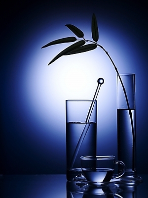 포토 JPG 스튜디오촬영 식기 음료 생활용품 잎 주방용품 나뭇잎 조명 잔 실내 사람없음 세로 초록색 빛 반사 꽃병 차 찻잔 오브젝트 유리막대 국내포토 식물 꽃 컬러 내부 막대 파일형식