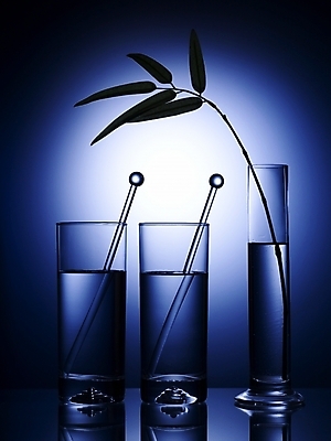 포토 JPG 스튜디오촬영 식기 음료 생활용품 잎 주방용품 나뭇잎 조명 잔 실내 사람없음 세로 초록색 빛 반사 꽃병 오브젝트 유리막대 국내포토 식물 꽃 컬러 내부 막대 파일형식