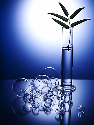 포토 JPG 스튜디오촬영 식물 식기 꽃 생활용품 잎 주방용품 나뭇잎 조명 실내 사람없음 세로 초록색 빛 반사 꽃병 꽃꽂이 오브젝트 국내포토 컬러 내부 원예 파일형식