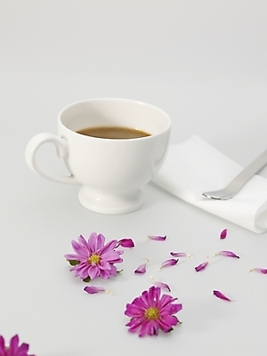 포토 JPG 스튜디오촬영 꽃잎 꽃 커피 음료 음식 실내 사람없음 숟가락 보라색 커피잔 찻잔 티스푼 냅킨 국내포토 식물 컬러 잔 수저 내부 파일형식