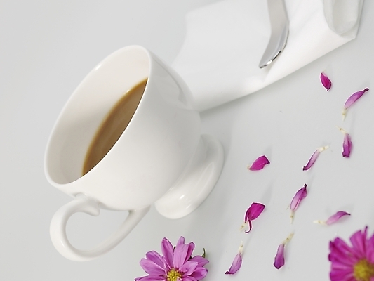 포토 JPG 스튜디오촬영 꽃잎 꽃 커피 음료 음식 실내 사람없음 보라색 커피잔 찻잔 티스푼 냅킨 국내포토 식물 컬러 잔 내부 숟가락 파일형식