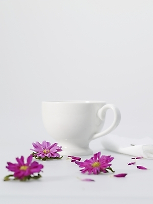 포토 JPG 스튜디오촬영 꽃잎 꽃 커피 음료 음식 생활용품 실내 사람없음 보라색 커피잔 찻잔 냅킨 국내포토 식물 컬러 잔 내부 오브젝트 파일형식