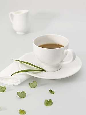 포토 JPG 스튜디오촬영 커피 음료 음식 잎 나뭇잎 실내 사람없음 초록색 커피잔 찻잔 냅킨 크리머 국내포토 식물 컬러 잔 내부 파일형식