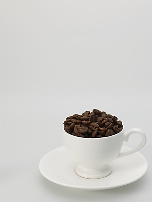 포토 JPG 스튜디오촬영 커피 실내 누끼 사람없음 갈색 원두 흰색 커피잔 찻잔 컵받침 원두커피 국내포토 음료 컬러 잔 내부 받침대 파일형식