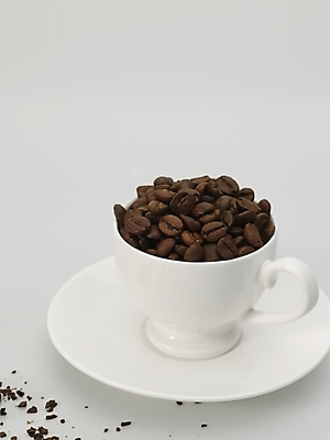 포토 JPG 스튜디오촬영 커피 실내 근접촬영 사람없음 갈색 원두 흰색 커피잔 찻잔 컵받침 원두커피 커피가루 국내포토 음료 뷰포인트 컬러 잔 내부 가루 받침대 파일형식