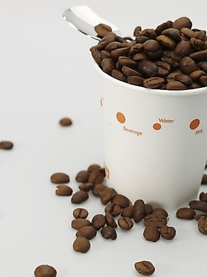 포토 JPG 스튜디오촬영 커피 실내 근접촬영 사람없음 갈색 숟가락 원두 흰색 종이컵 티스푼 원두커피 국내포토 음료 뷰포인트 컬러 수저 내부 컵 일회용 파일형식
