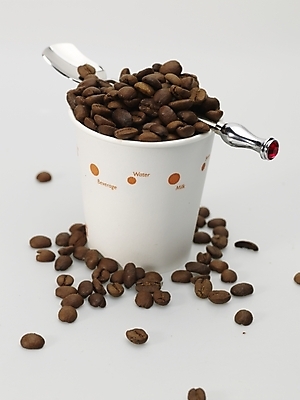 포토 JPG 스튜디오촬영 커피 실내 근접촬영 사람없음 갈색 숟가락 원두 흰색 종이컵 티스푼 원두커피 국내포토 음료 뷰포인트 컬러 수저 내부 컵 일회용 파일형식