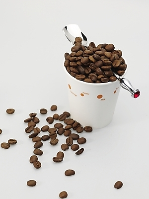포토 JPG 스튜디오촬영 커피 실내 사람없음 하이앵글 갈색 숟가락 원두 흰색 종이컵 티스푼 원두커피 국내포토 음료 뷰포인트 컬러 수저 내부 컵 일회용 파일형식