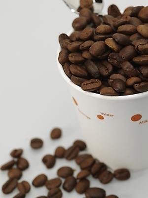 포토 JPG 스튜디오촬영 커피 실내 근접촬영 사람없음 하이앵글 갈색 숟가락 원두 흰색 종이컵 티스푼 원두커피 국내포토 음료 뷰포인트 컬러 수저 내부 컵 일회용 파일형식