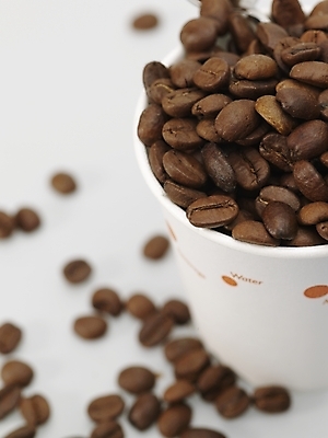 포토 JPG 스튜디오촬영 커피 실내 근접촬영 사람없음 하이앵글 갈색 원두 흰색 종이컵 원두커피 국내포토 음료 뷰포인트 컬러 내부 컵 일회용 파일형식