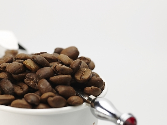 포토 JPG 스튜디오촬영 커피 실내 근접촬영 사람없음 갈색 숟가락 원두 흰색 종이컵 티스푼 원두커피 국내포토 음료 뷰포인트 컬러 수저 내부 컵 일회용 파일형식