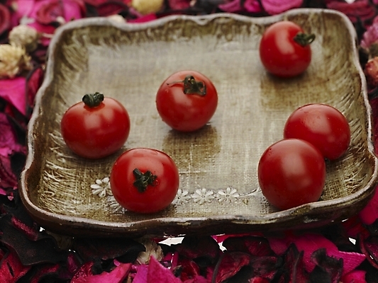 포토 JPG 스튜디오촬영 식물 접시 꽃잎 음식 분홍색 토마토 방울토마토 실내 근접촬영 사람없음 가로 빨간색 하이앵글 장미 여러개 국내포토 식기 꽃 뷰포인트 컬러 다수 채소 내부 파일형식