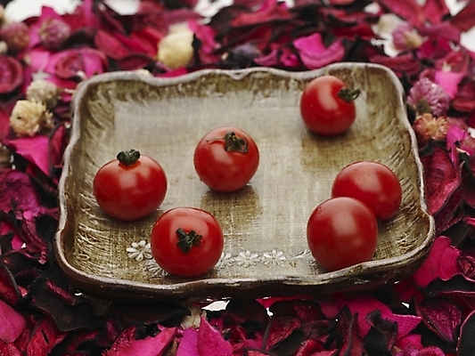 포토 JPG 스튜디오촬영 식물 접시 꽃잎 음식 분홍색 토마토 채소 방울토마토 실내 근접촬영 사람없음 가로 빨간색 하이앵글 장미 여러개 국내포토 식기 꽃 뷰포인트 컬러 다수 내부 파일형식