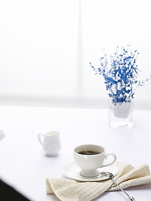 포토 JPG 스튜디오촬영 화분 커피 음료 음식 탁자 실내 사람없음 장식 숟가락 커피잔 찻잔 티스푼 냅킨 크리머 아쿠아미니화병 국내포토 가구 잔 수저 내부 파일형식