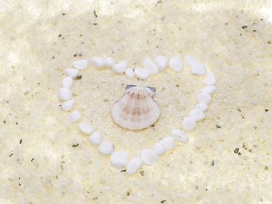 포토 스튜디오촬영 조개 연체동물 실내 틀 누끼 사람없음 가로 돌_바위 조약돌 흰색 하트 백돌 국내포토 모양 컬러 어패류 무척추동물 내부 파일형식