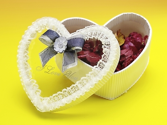 포토 JPG 스튜디오촬영 꽃잎 실내 선물 근접촬영 사람없음 가로 선물상자 상자 노란색 오브젝트 국내포토 꽃 뷰포인트 컬러 내부 파일형식