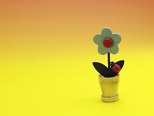 포토 JPG 스튜디오촬영 화분 생활용품 실내 누끼 사람없음 장식 가로 인테리어 노란색 오브젝트 국내포토 디자인 컬러 내부 파일형식