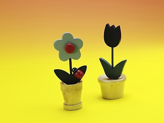 포토 JPG 스튜디오촬영 화분 생활용품 실내 누끼 사람없음 장식 가로 인테리어 노란색 오브젝트 국내포토 디자인 컬러 내부 파일형식