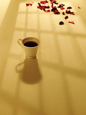 포토 JPG 스튜디오촬영 식물 꽃잎 꽃 커피 음료 음식 분홍색 바닥 실내 그림자 사람없음 빨간색 빛 장미 찻잔 국내포토 컬러 잔 내부 파일형식