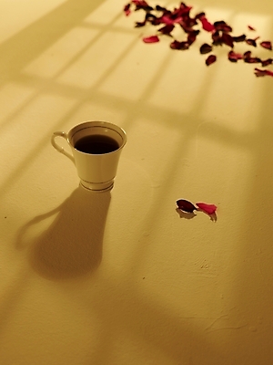 포토 JPG 스튜디오촬영 식물 꽃잎 꽃 커피 음료 음식 바닥 실내 그림자 사람없음 빨간색 빛 장미 찻잔 국내포토 컬러 잔 내부 파일형식