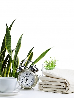 포토 JPG 스튜디오촬영 식물 화분 음료 시계 생활용품 실내 사람없음 초록색 인테리어 숟가락 식탁보 커피잔 찻잔 티스푼 탁상시계 미니화분 산사베리아 국내포토 디자인 커피 컬러 잔 수저 내부 오브젝트 파일형식