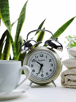 포토 JPG 스튜디오촬영 식물 화분 음료 시계 생활용품 실내 사람없음 초록색 인테리어 식탁보 커피잔 찻잔 탁상시계 미니화분 산사베리아 국내포토 디자인 커피 컬러 잔 내부 오브젝트 파일형식