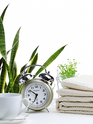 포토 JPG 스튜디오촬영 식물 화분 시계 생활용품 실내 사람없음 장식 초록색 인테리어 식탁보 커피잔 찻잔 탁상시계 미니화분 산사베리아 국내포토 디자인 커피 컬러 잔 내부 오브젝트 파일형식