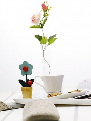 포토 JPG 스튜디오촬영 식물 접시 꽃 슬리퍼 쟁반 실내 사람없음 장식 세로 인테리어 갈색 쿠키 꽃병 흰색 신문 커피잔 찻잔 꽃꽂이 미니화분 국내포토 식기 디자인 화분 커피 컬러 신발 디저트 잔 내부 간행물 뉴스 원예 파일형식