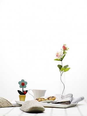 포토 JPG 스튜디오촬영 식물 접시 꽃 슬리퍼 쟁반 실내 사람없음 장식 세로 인테리어 갈색 쿠키 꽃병 흰색 신문 커피잔 찻잔 꽃꽂이 미니화분 국내포토 식기 디자인 화분 커피 컬러 신발 디저트 잔 내부 간행물 뉴스 원예 파일형식