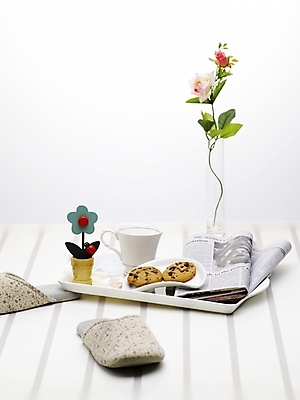 포토 JPG 스튜디오촬영 식물 접시 꽃 슬리퍼 쟁반 실내 사람없음 장식 세로 인테리어 갈색 쿠키 꽃병 흰색 신문 커피잔 찻잔 꽃꽂이 미니화분 국내포토 식기 디자인 화분 커피 컬러 신발 디저트 잔 내부 간행물 뉴스 원예 파일형식