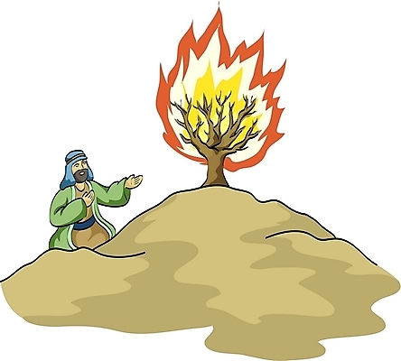 EPS 나무 남자 기독교 종교 일러스트 불 한명 사람 20대 성인 야외 성경 관목 성경이야기 모세 남자만 남자한명만 성인남자만 청년만 청년남자만 청년남자한명만 성인한명만 성인남자한명만 성인만 국내일러스트 자연요소 식물 1 종교용품 이야기 청년 파일형식 벡터