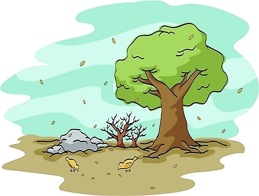 EPS 나무 식물 동물 기독교 종교 길 일러스트 조류 한그루 씨앗 사람없음 야외 돌_바위 바위 성경이야기 국내일러스트 1 이야기 파일형식 벡터