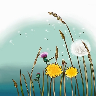PSD 식물 꽃 백그라운드 잎 일러스트 봄꽃 자연 페인터 풍경 사람없음 저녁 민들레 민들레홀씨 국내일러스트 페인팅 봄 야간 생태계 파일형식