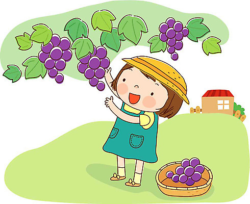 EPS 주간 전신 계절 여자 어린이라이프 초등학생 어린이 음식 과일 일러스트 포도 한명 서기 사람 소녀 야외 농작물 가을 과수원 포도밭 여자만 여자한명만 어린이만 소녀만 소녀한명만 국내일러스트 자연요소 1 학생 라이프스타일 밭 농업 모션 파일형식 벡터