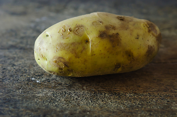 포토 JPG 해외이미지 식물 음식 채소 자연 감자 사람없음 목재 갈색 신선 거친 맛 유기농 날것 채식주의자 나무배경 해외202004 해외포토 나무 웰빙 컬러 백그라운드 컨셉 재료 생태계 채식 파일형식