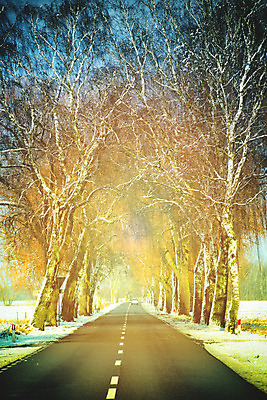 포토 JPG 해외이미지 나무 계절 도로 길 여행 크리스마스 겨울 패턴 교통시설 자연 하늘 날씨 산 거리 풍경 사람없음 야외 파란색 빛 냉동 얼음 운전 차도 추위 자유 안개 흰색 시골 고속도로 숲 아스팔트 12월 서리 장면 북쪽 벌거벗은 줄서기 눈내림 수평선 겨울풍경 해외202004 무례 해외포토 자연요소 식물 기념일 컬러 교통 컨셉 무늬 모션 눈_날씨 날짜 방향 시설 생태계 파일형식