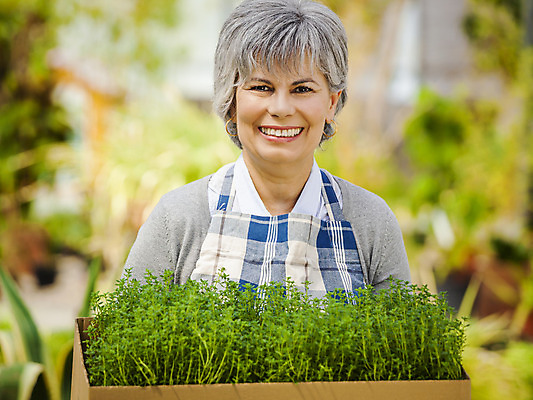 포토 JPG 해외이미지 식물 직업 여자 행복 중년 한명 사람 취미 정원 앞치마 꽃집 허브 원예 정원가꾸기 백리향 온실 중년여자한명만 해외202004 해외포토 1 감정 성인 상점 여자한명만 중년여자만 파일형식