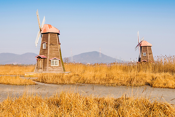 포토 JPG 해외이미지 계절 여행 백그라운드 밭 농업 자연 벽지 하늘 바람 서울 한국 풍경 사람없음 야외 목재 초록색 여름 파란색 컬러풀 농장 맑음 봄 풍차 에너지 흰색 시골 신선 땅 장면 방앗간 에스토니아 옛날 해외202004 해외포토 자연요소 나무 유럽 산업 아시아 컬러 재료 날씨 생태계 파일형식