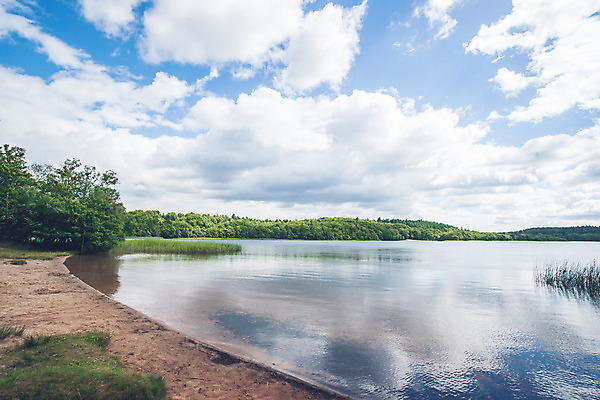 포토 JPG 해외이미지 나무 구름 공원 유럽 호수 모래 여행 백그라운드 자연 하늘 휴가 휴식 산 덴마크 풍경 사람없음 야외 초록색 물 여름 파란색 강 반사 평화 환경 맑음 침묵 봄 시골 숲 장면 북쪽 내추럴 스칸디나비아 해외202004 해외포토 자연요소 식물 계절 공공시설 나라 컬러 컨셉 날씨 북유럽 소리 방향 생태계 파일형식